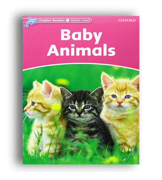 dolphin baby animals starter