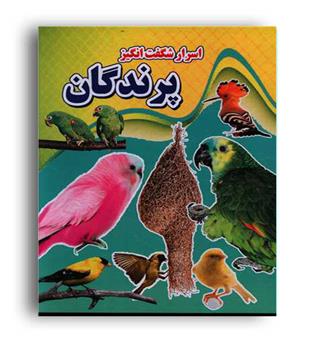 اسرار شگفت انگیز پرندگان (نارنج) 