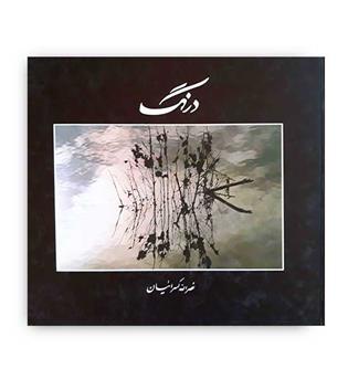 درنگ (آگه)