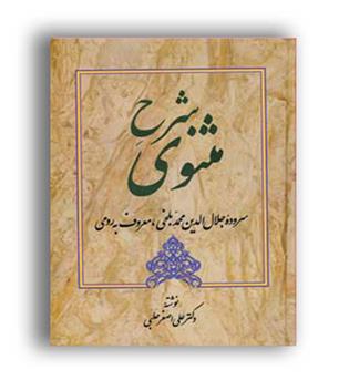شرح مثنوی2(زوار) علی اصغر حلبی 