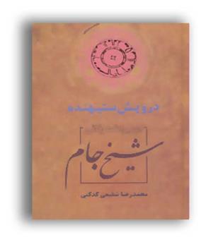 درویش ستیهنده (سخن)ازمیراث عرفانی شیخ جام